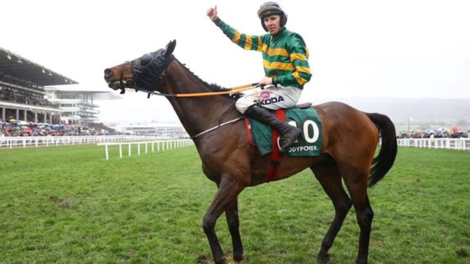 Sire Du Berlais Fatally Injured at Punchestown 